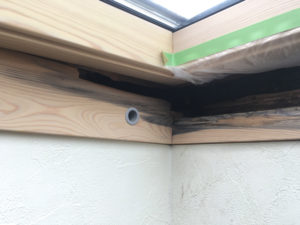 BB691F1E-19CB-4BFB-99C0-118055332C7E